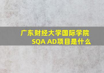 广东财经大学国际学院SQA AD项目是什么